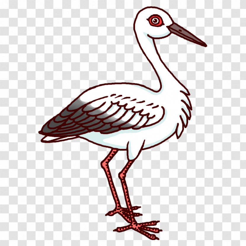 Birds White Stork Pelecaniformes Gull Crane Transparent PNG