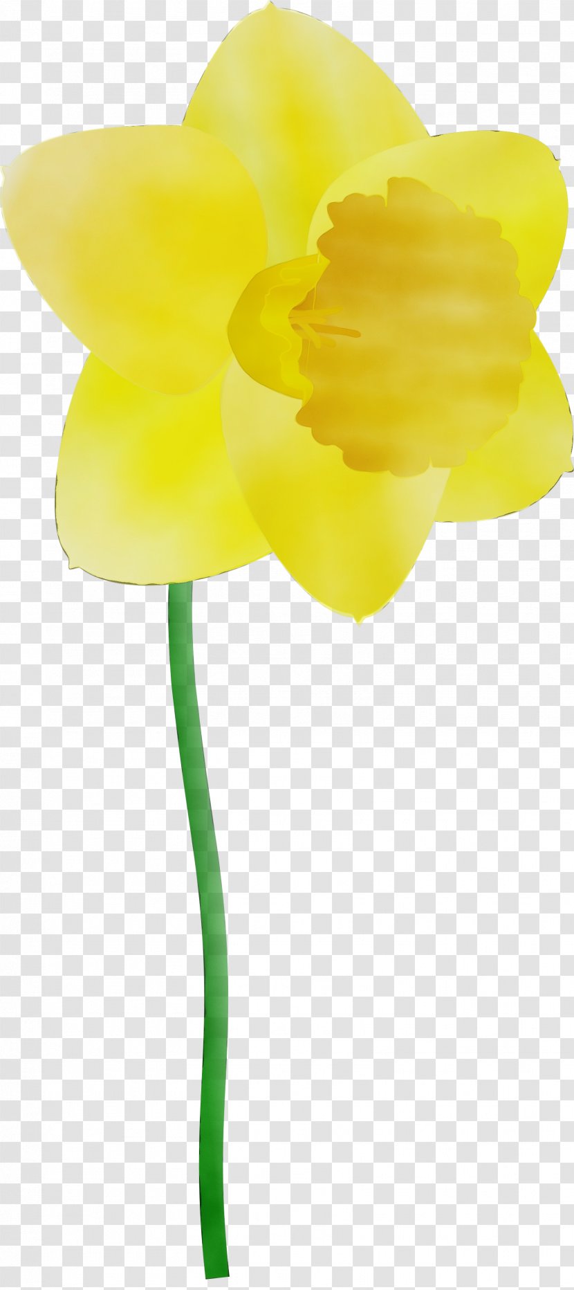 Yellow Flower Cut Flowers Petal Plant - Stem - Pedicel Transparent PNG