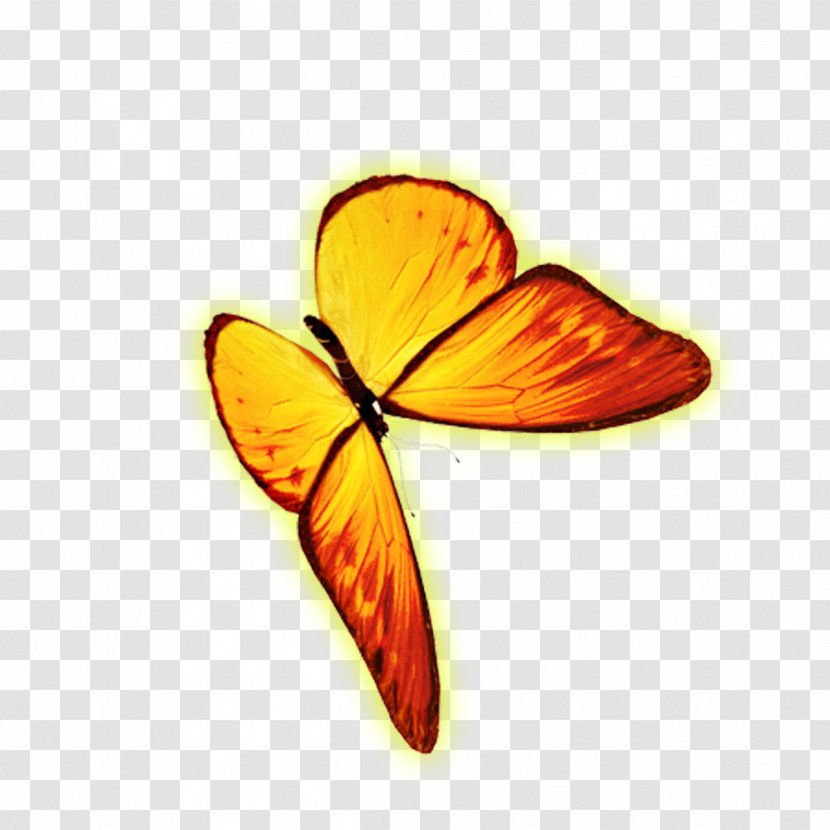 Monarch Butterfly Icon - Golden Transparent PNG