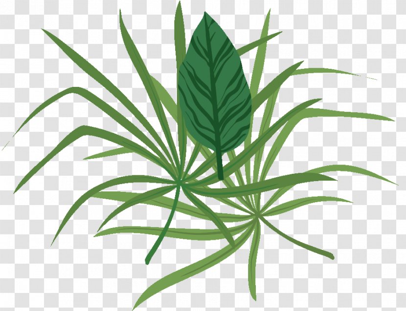 Food Leaf Hemp Plants Herb - Gift Transparent PNG