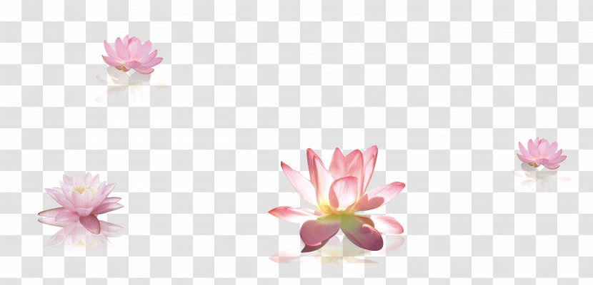 Petal Cut Flowers Body Piercing Jewellery Flowering Plant - Lotus Decorative Material Transparent PNG
