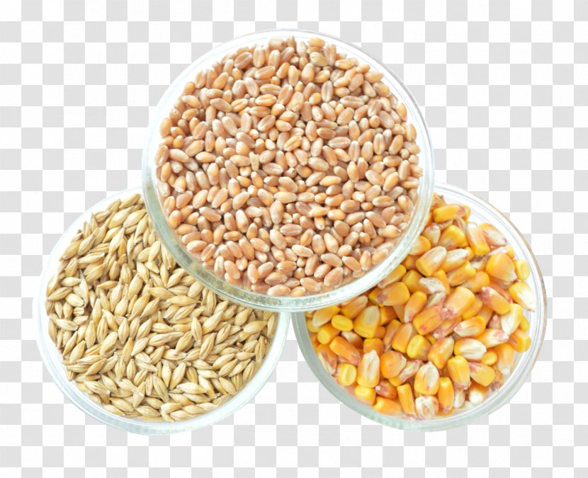 Cereal Maize Grain - Mixture - Corn Transparent PNG