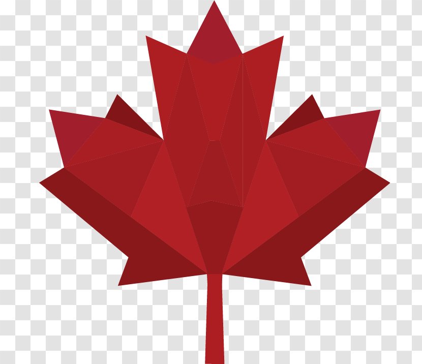 Flag Of Canada Maple Leaf Clip Art Vector Graphics - Symbol - American Sweetgum Transparent PNG