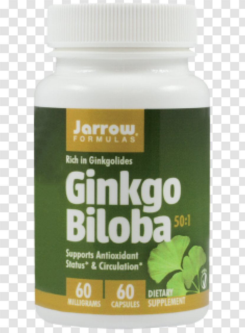 Dietary Supplement Ginkgo Biloba Vegetarian Cuisine Curcumin Phytosome - Ginseng - Ginkgo-biloba Transparent PNG