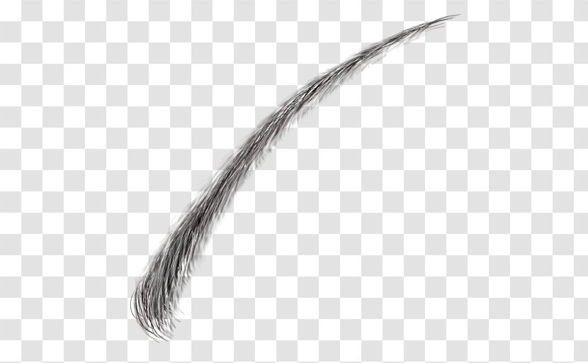 Feather Tail Eyebrow - Eyelashes Transparent PNG