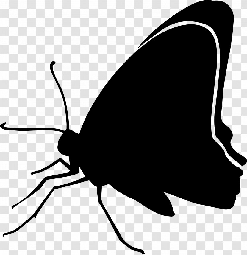 15 / Black Butterfly Clip Art Silhouette Image - Arthropod Transparent PNG