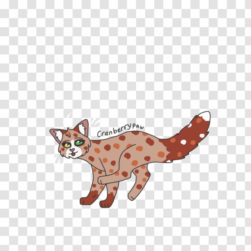 Whiskers Cat Red Fox Cougar Dog - Animal Transparent PNG