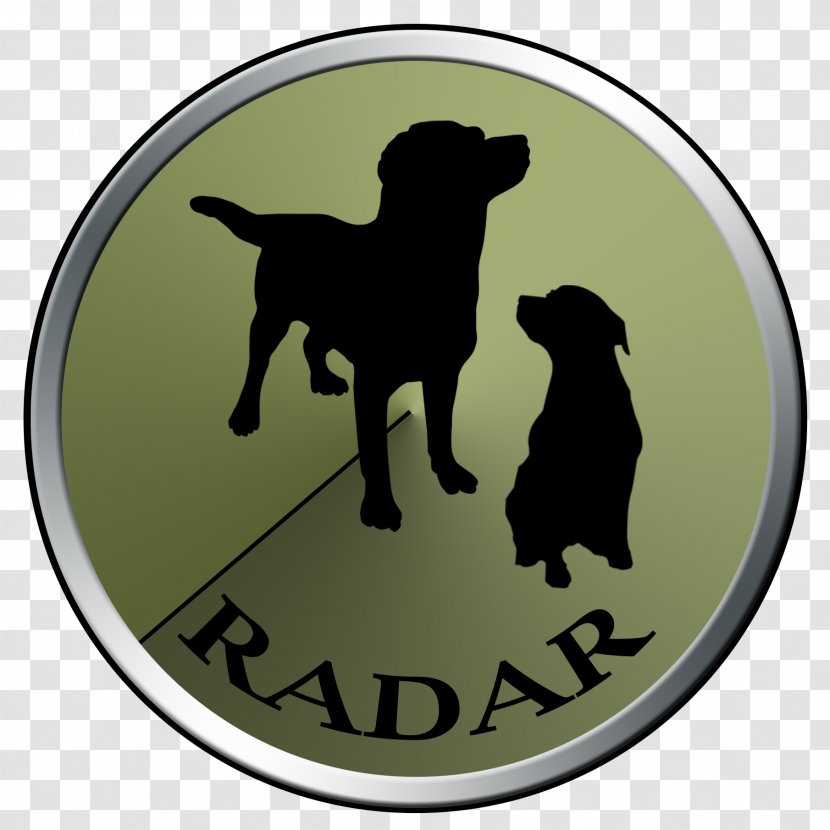 Labrador Retriever Sporting Group Dog Breed Canidae - Radar Transparent PNG