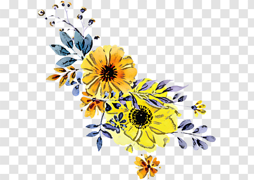 Sunflower Transparent PNG