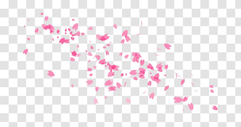 Cherry Blossom Drawing Clip Art - Pink Transparent PNG