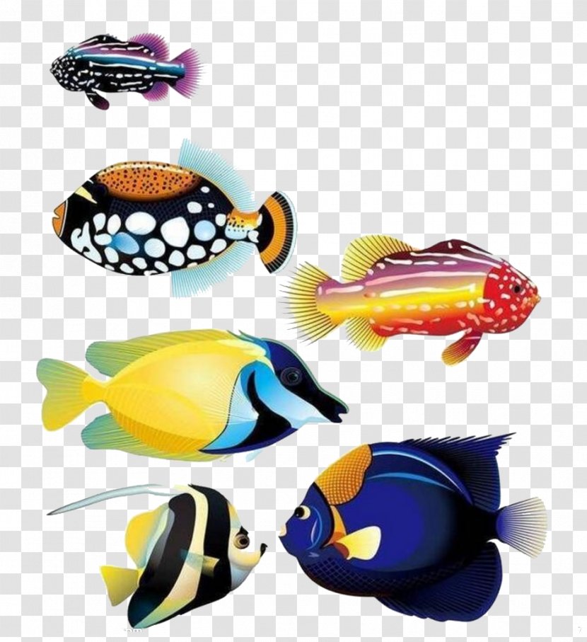 Goldfish Animal Tropical Fish - Eyewear - Ocean Transparent PNG