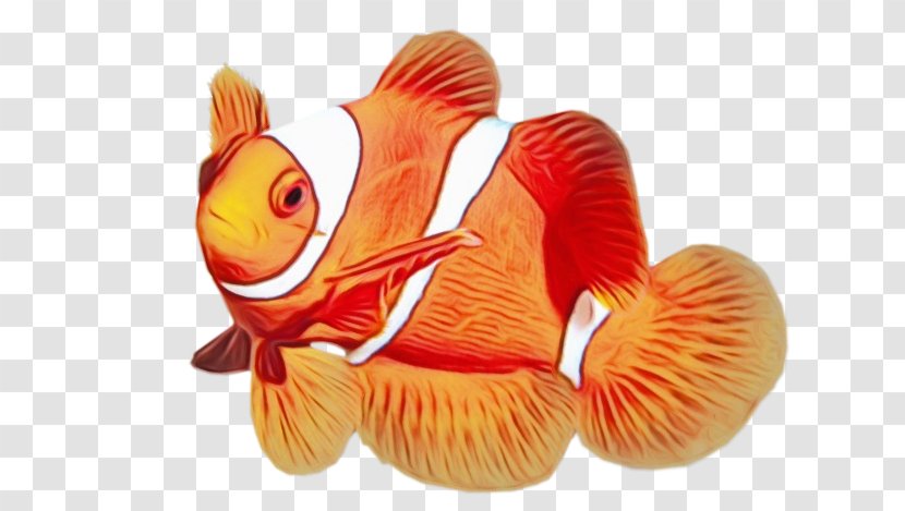 Orange - Aquarium Decor - Goldfish Transparent PNG