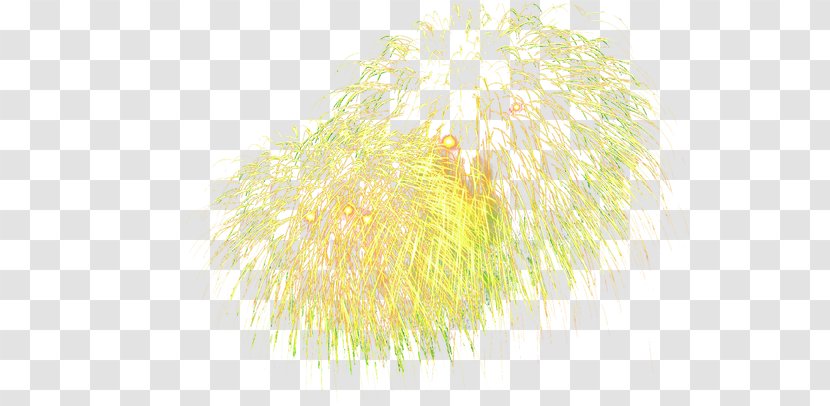 Text Yellow Illustration - Tree - Golden Fireworks Transparent PNG