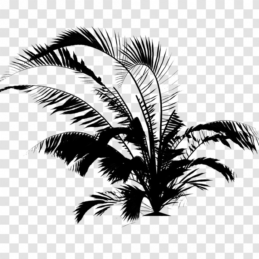 Palm Trees Restaurant Facebook, Inc. Bar - Leaf Transparent PNG
