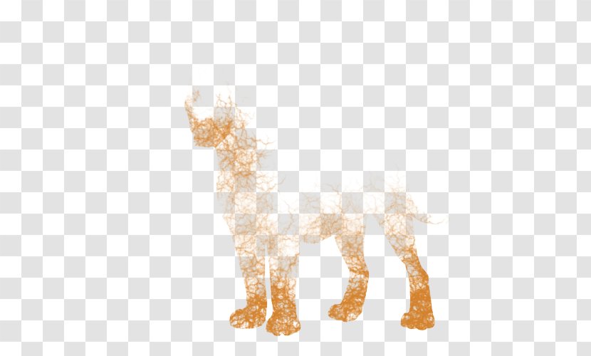 Felidae Cheetah Giraffe Lion Rosette - Margay Transparent PNG