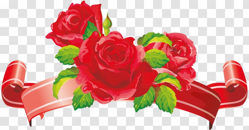 Garden Roses Clip Art Flower Wedding - Petal Transparent PNG