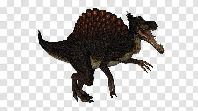 Tyrannosaurus Velociraptor Extinction Terrestrial Animal - T-rex Transparent PNG