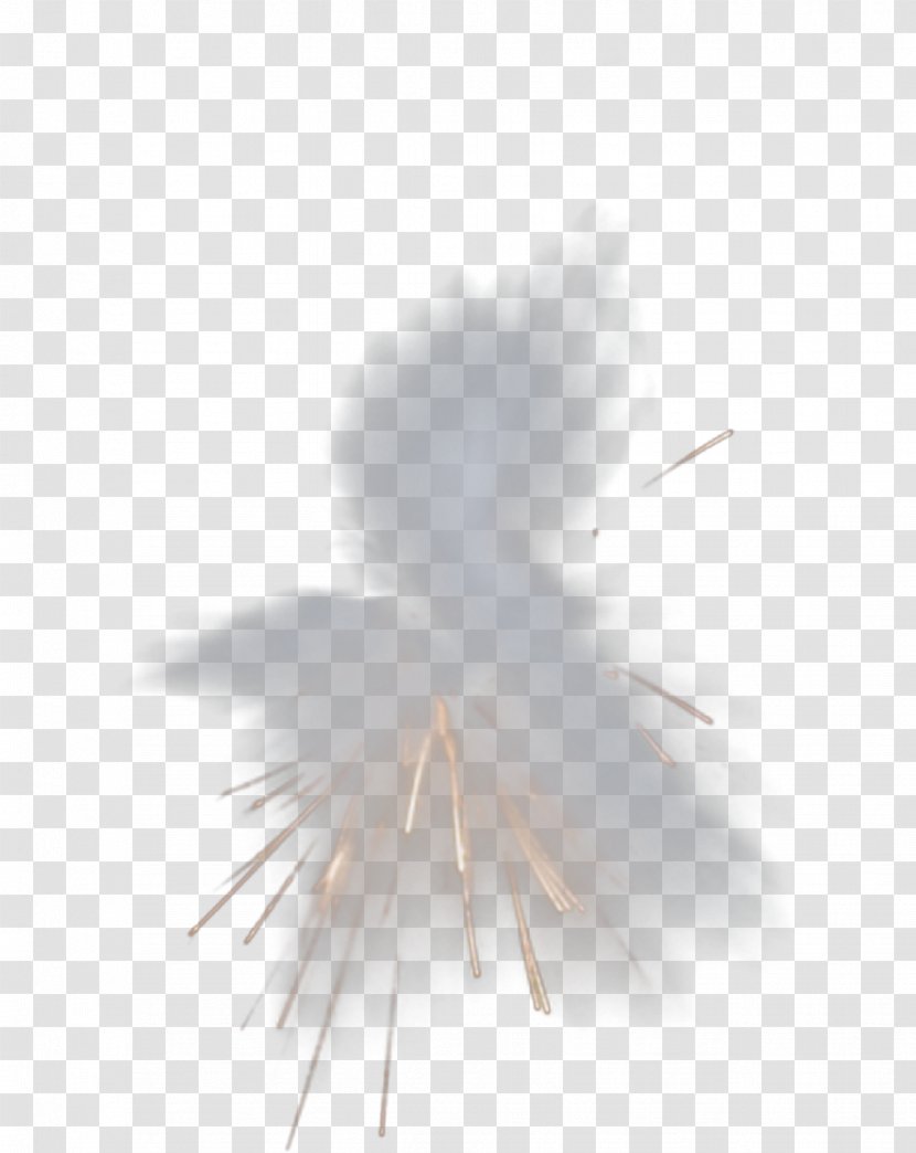 Dust Explosion Particle - Silhouette - Picture Transparent PNG