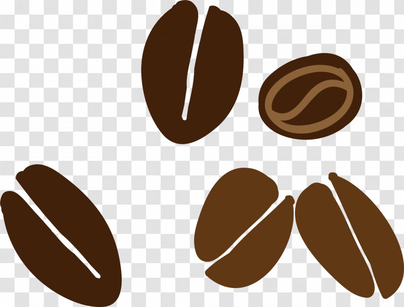 Coffee Bean Cafe - Drawing - Brown Cartoon Beans Transparent PNG