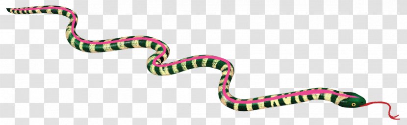 Snakes Colorado Feminism Chapulines - Scaled Reptile - Snake Head Transparent PNG