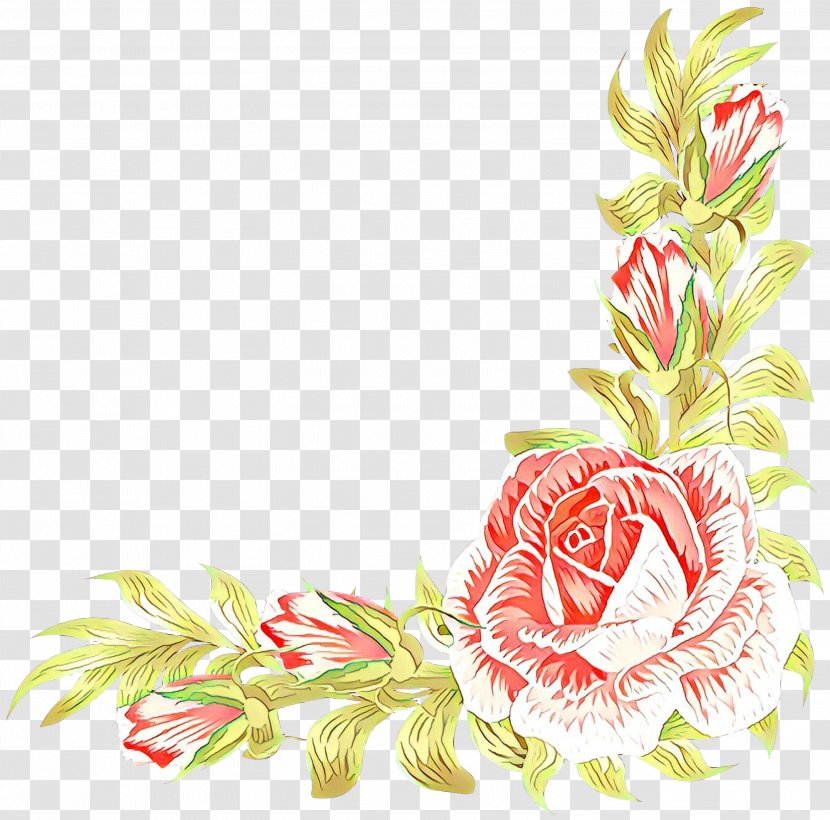 Garden Roses Flower Bouquet Illustration Floral Design - Photography - Rose Transparent PNG