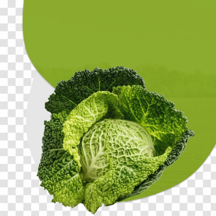 Green Grass Background - Savoy Cabbage - Broccoflower Transparent PNG