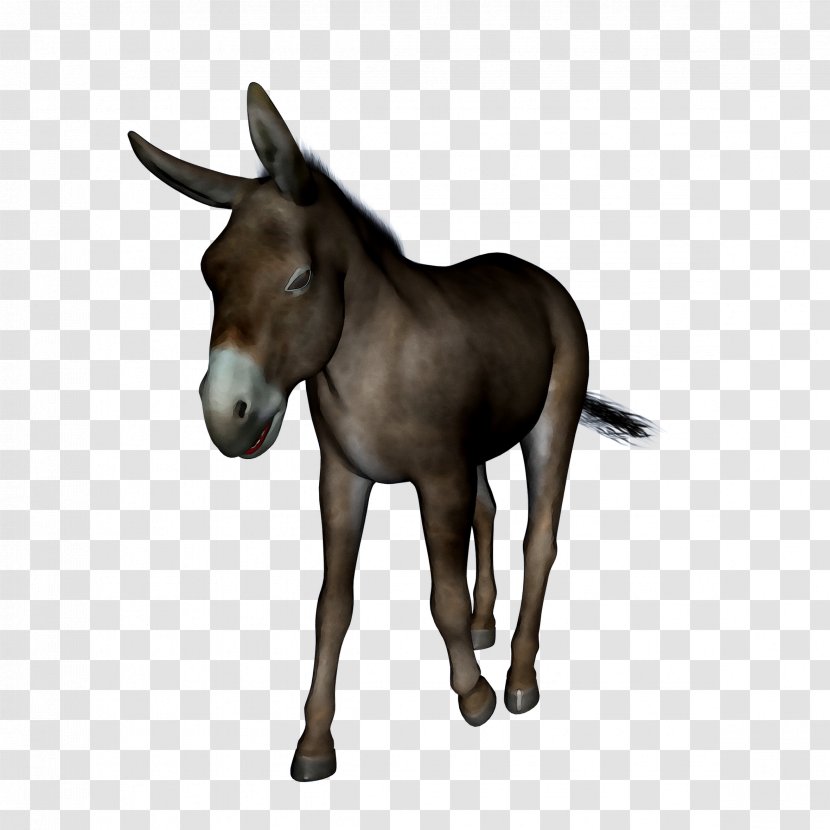 Mule Foal Mustang Donkey Halter - Sorrel - Colt Transparent PNG