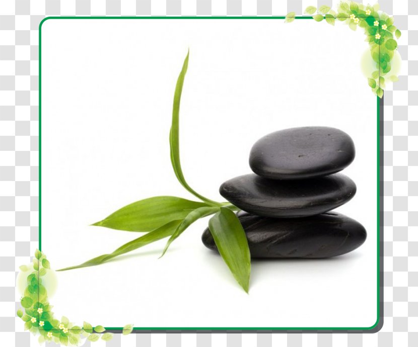 Reflexology Health, Fitness And Wellness Beauty Parlour Mindfulness-based Stress Reduction Massage Transparent PNG