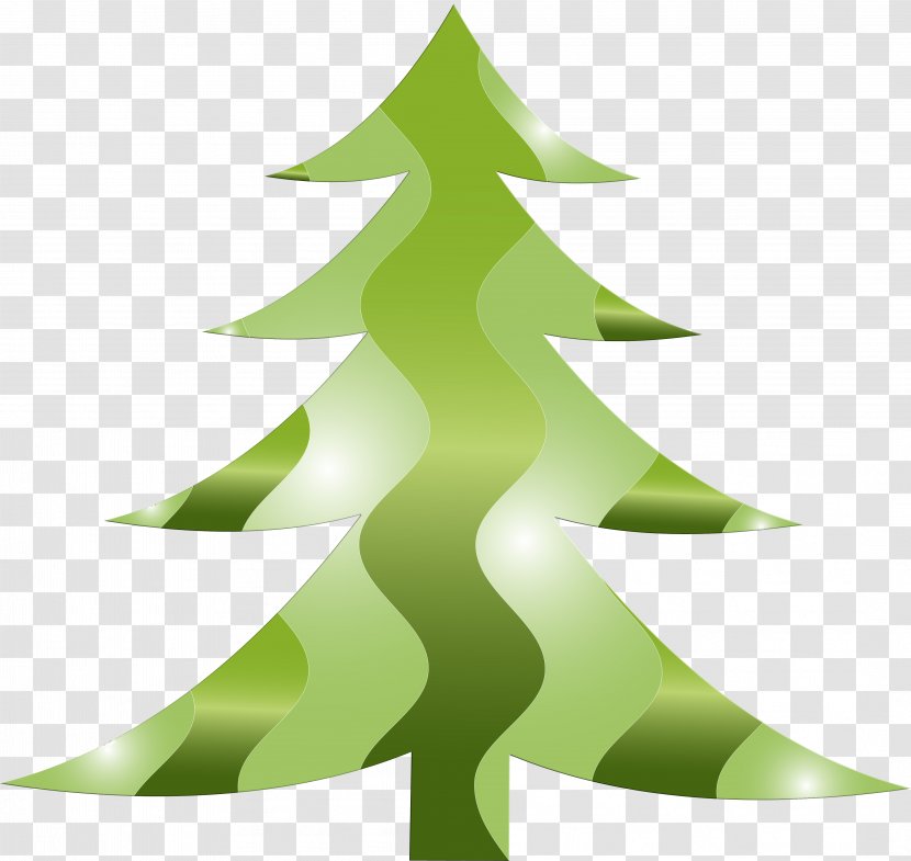 Fir Christmas Ornament Spruce Tree Evergreen - Branch Transparent PNG