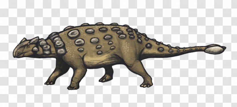 Ankylosaurus Stegosaurus Hadrosaurus Pachycephalosaurus Dinosaur - History Of Paleontology Transparent PNG
