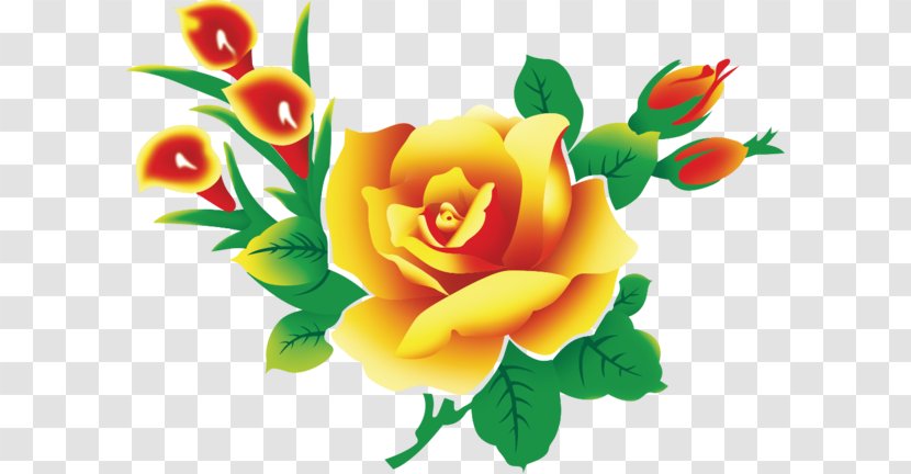 Garden Roses Flower Floral Design Clip Art - Flowering Plant Transparent PNG