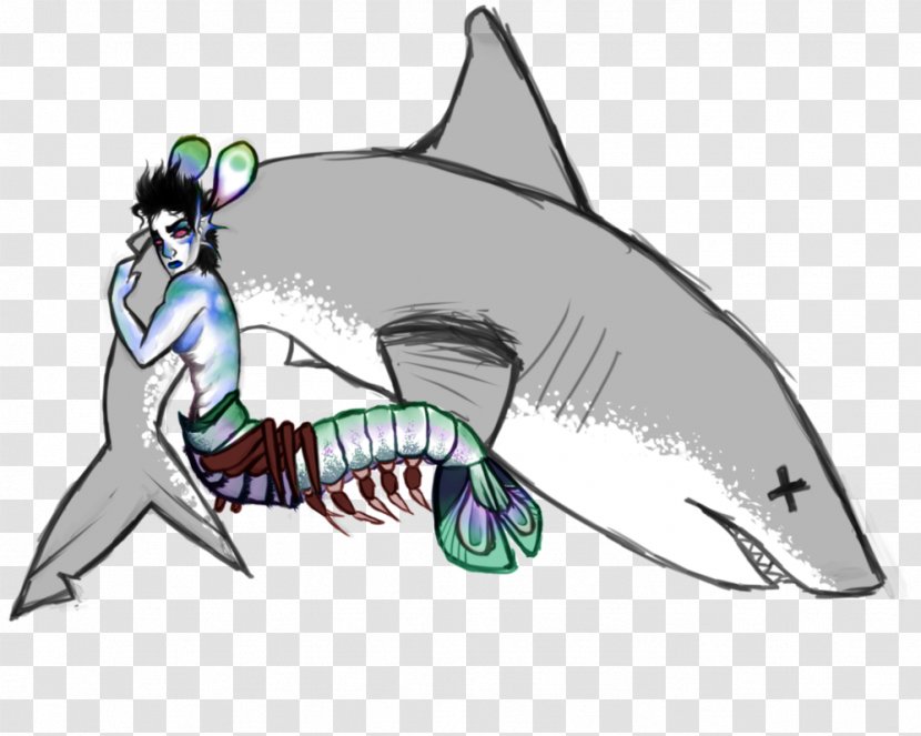 Requiem Sharks Marine Mammal Clip Art - Fish - Mantis Shrimp Transparent PNG