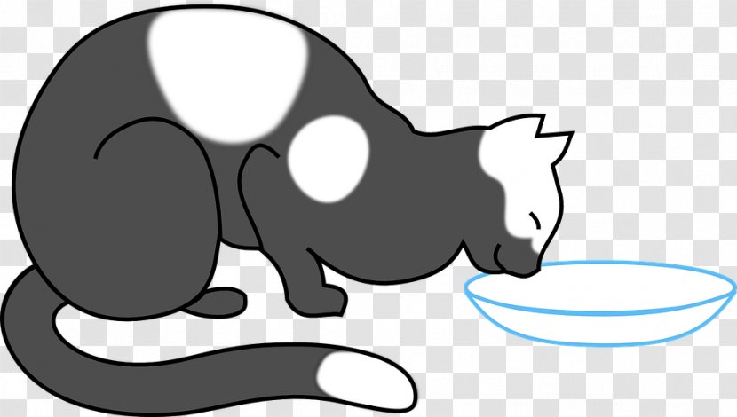 Cat Food Kitten Clip Art - Flower Transparent PNG