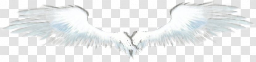Angel Feather Neck Font - White - Eagle Wings Transparent PNG