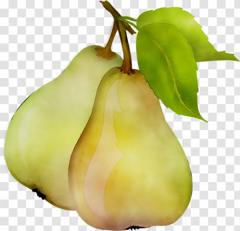 Pear Natural Foods Still Life Photography - Fruit Transparent PNG