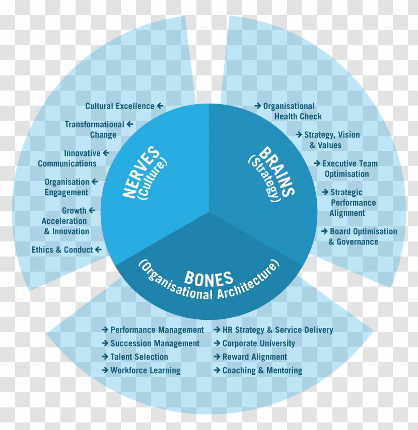 Organization The Iclif Leadership And Governance Centre Resource Management Human Capital - Resources - Philosophy Transparent PNG