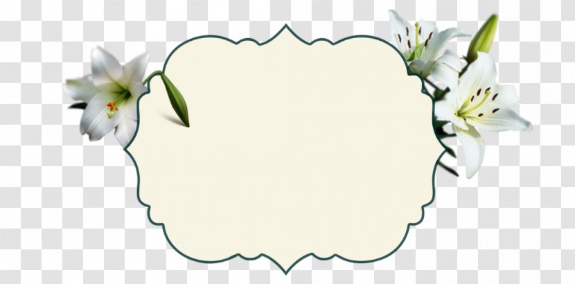Floral Design Rose Family Cut Flowers - Easter Lily Clipart Border Transparent PNG