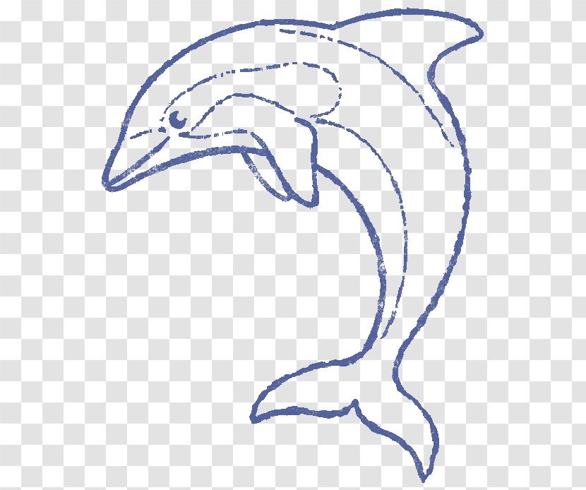 Dolphin /m/02csf Porpoise Drawing Clip Art - Marine Mammal Transparent PNG