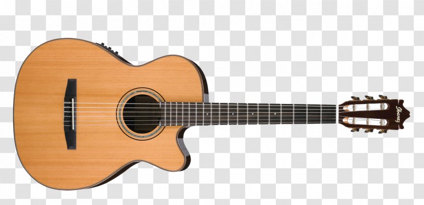 Takamine Guitars Musical Instruments Acoustic Guitar Classical - Tree Transparent PNG