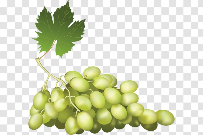 Wine Kyoho Grape Food - Grapevine Family Transparent PNG