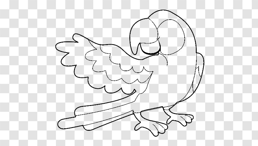 True Parrot Drawing Coloring Book Bird - Frame - Beatrix Potter Transparent PNG