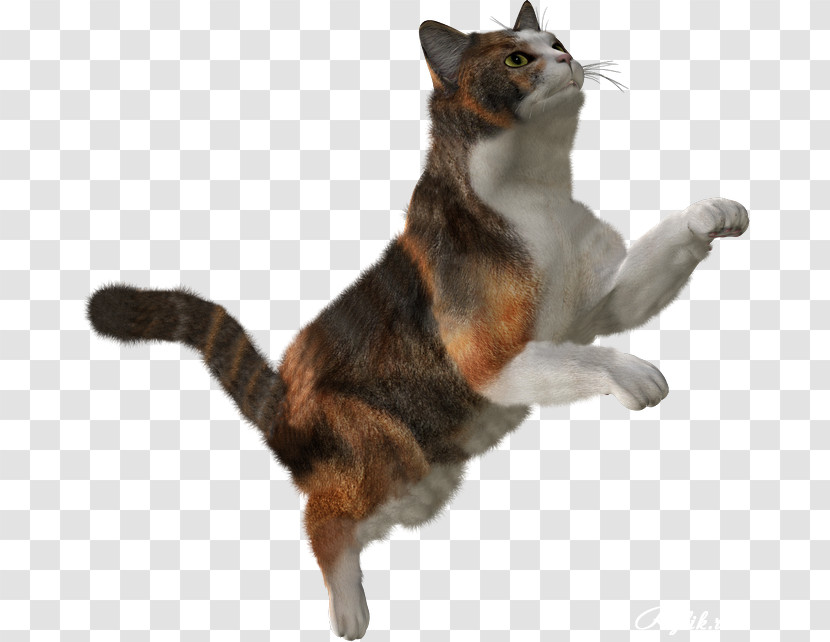 Cat Small To Medium-sized Cats Jumping Tail Toy Transparent PNG