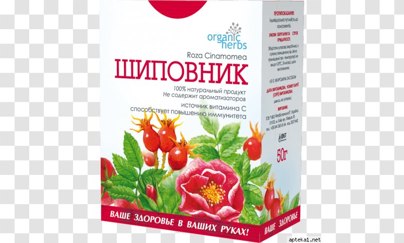 Tea Herb Organic Food Rose Hip Transparent PNG