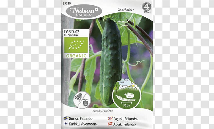 Cucumber Seed Finland Всхожесть семян Vegetable - Crop Yield Transparent PNG