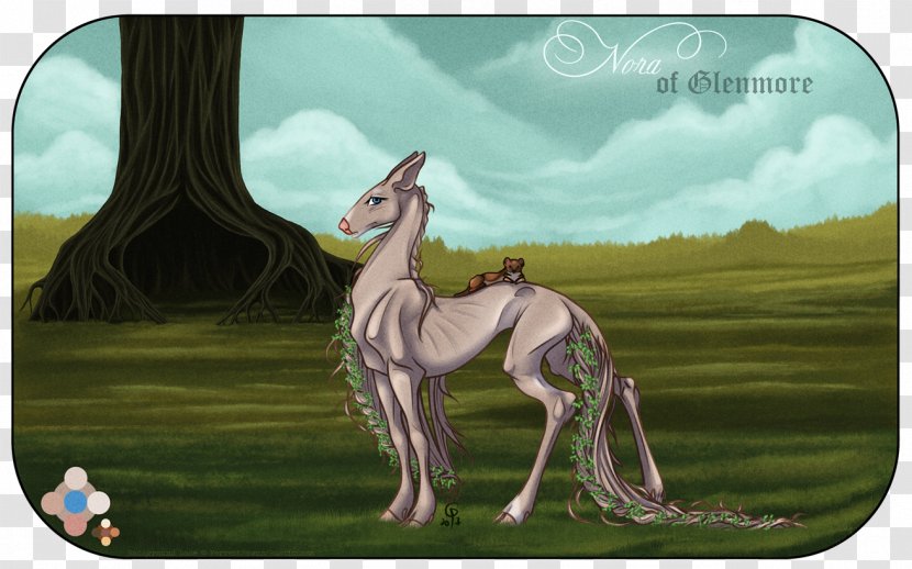 Pony Giraffe Horse Mammal Mane - Grass Transparent PNG