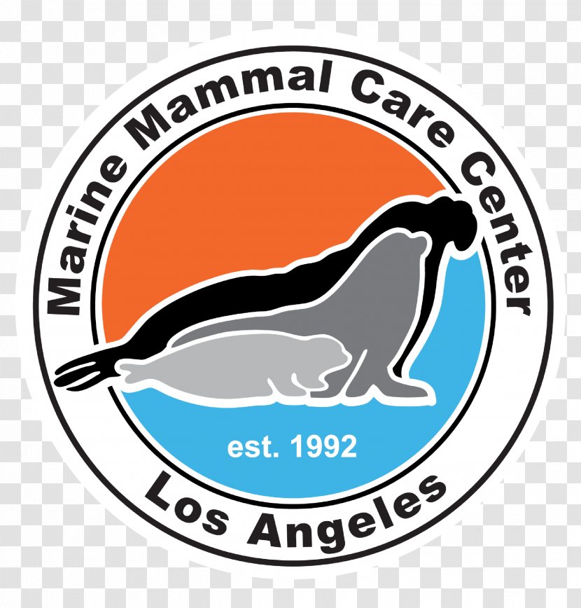 Marine Mammal Care Center Los Angeles The Sea Lion Transparent PNG