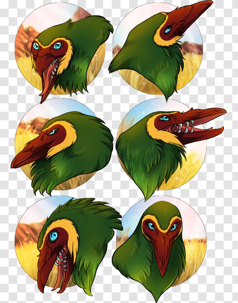 Bird Parrot Toucan Beak Piciformes - Fauna - Heart Attack Transparent PNG