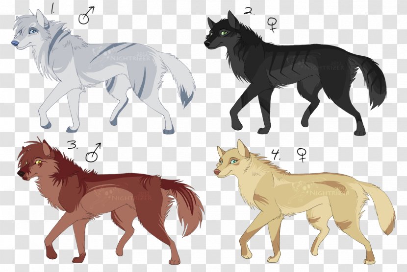 Lion Dog Drawing Black Wolf Puppy - Pony Transparent PNG