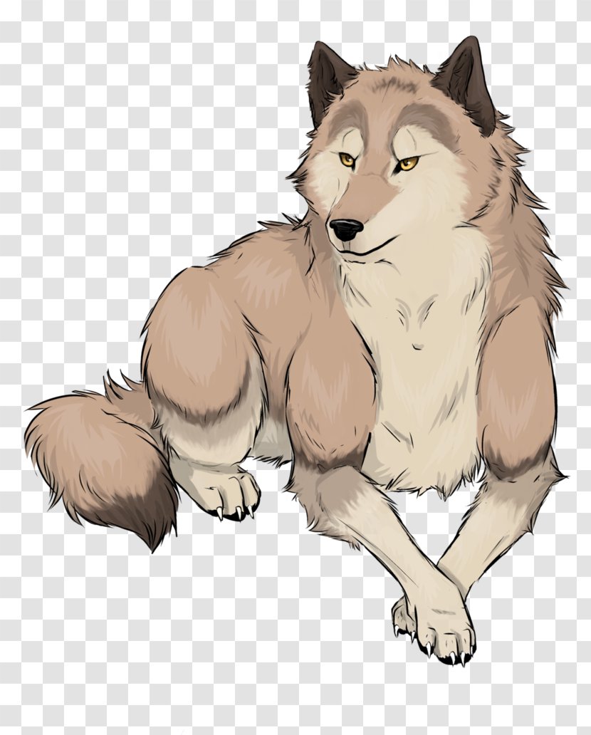 Whiskers Gray Wolf Red Fox Fur Drawing - Dick Transparent PNG