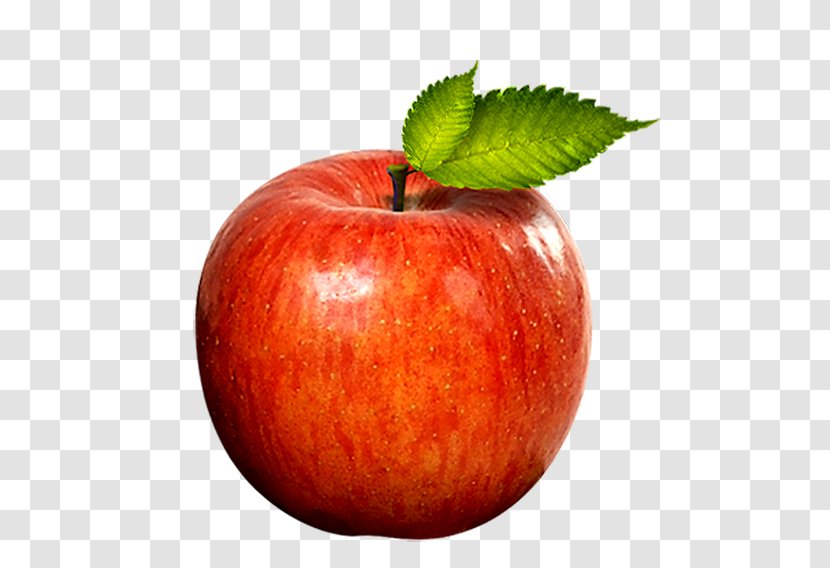 Apple Software Red - Fruit Transparent PNG